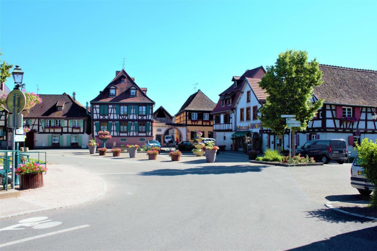 La Halte Des Vignes - Route Des Vins D'Alsace Apartment Scherwiller Exterior photo