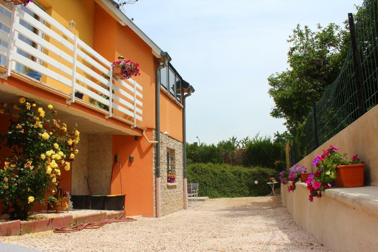 La Halte Des Vignes - Route Des Vins D'Alsace Apartment Scherwiller Exterior photo