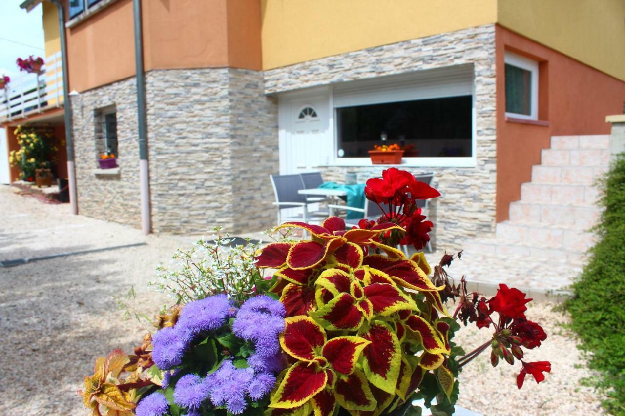 La Halte Des Vignes - Route Des Vins D'Alsace Apartment Scherwiller Exterior photo